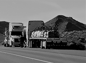 Why Businesses Should Outsource Logistics 3PL Logistics.